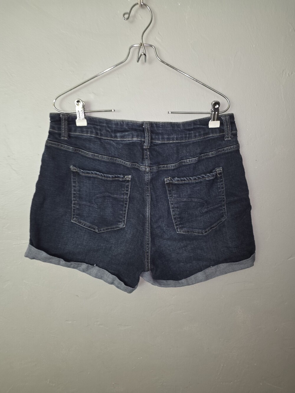 Time & True Dark Wash High Rise Jean Shorts